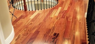 3 Facts about Exotic Wood Flooring Every Homeowner Should Know Before Installation